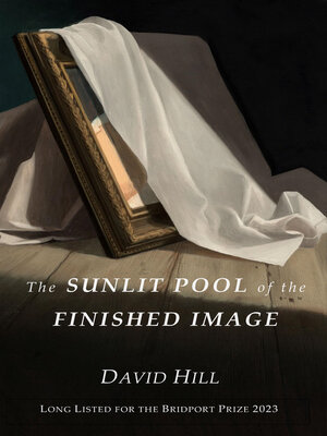 cover image of The Sunlit Pool of the Finished Image